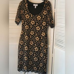 BADGLEY MISCHKA FLORAL LACE BODYCON DRESS 14